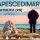 colapesce-dimartino-cattolica